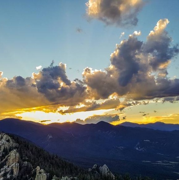 Meet your Posher, Eli - Picture 1 of 1